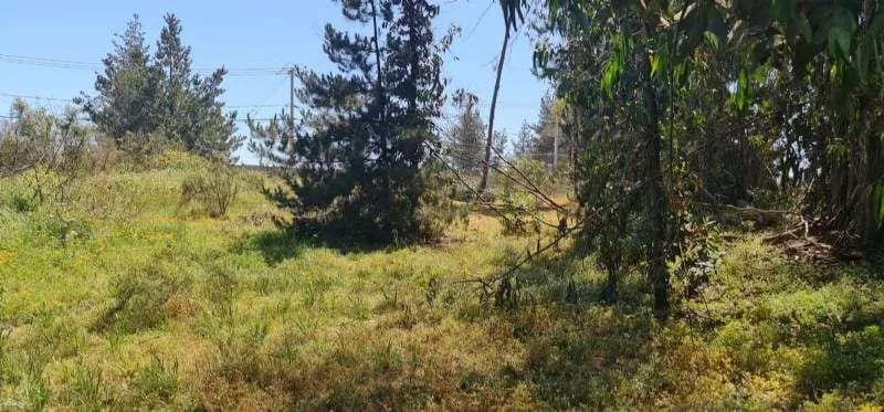 Terreno Construccion en venta · Viña del Mar - Imagen 11