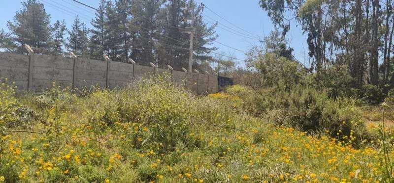 Terreno Construccion en venta · Viña del Mar - Imagen 8