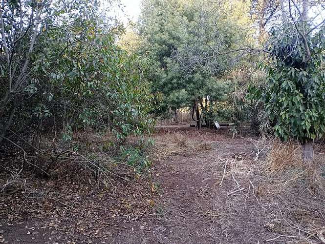 Sitio en venta · San Antonio - Imagen 6