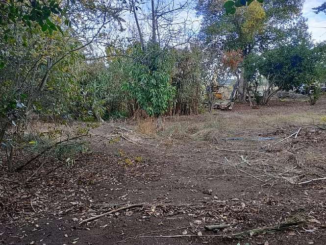 Sitio en venta · San Antonio - Imagen 4