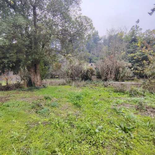 Sitio en venta · San Antonio - Imagen 5