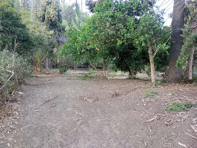 Sitio en venta · San Antonio - Imagen 3