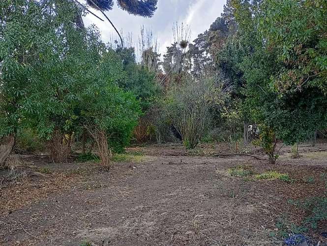 Sitio en venta · San Antonio - Imagen 9