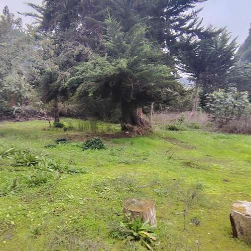 Sitio en venta · San Antonio - Imagen 8