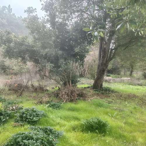 Sitio en venta · San Antonio - Imagen 13