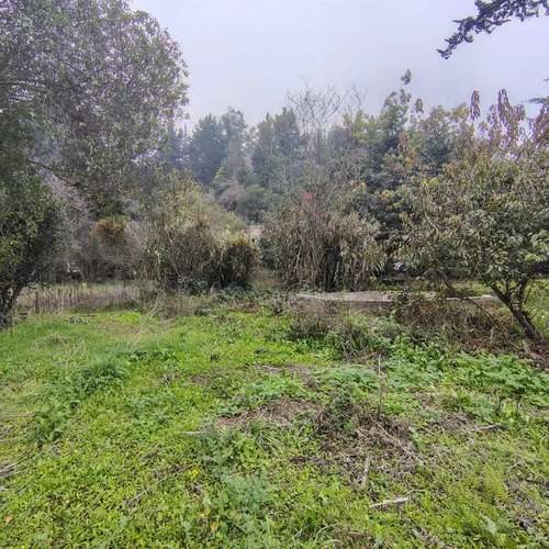Sitio en venta · San Antonio - Imagen 7