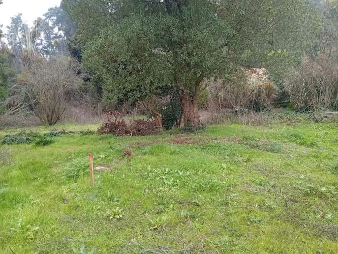 Sitio en venta · San Antonio - Imagen 14
