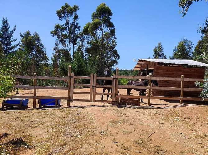 Parcela en venta · Paredones
