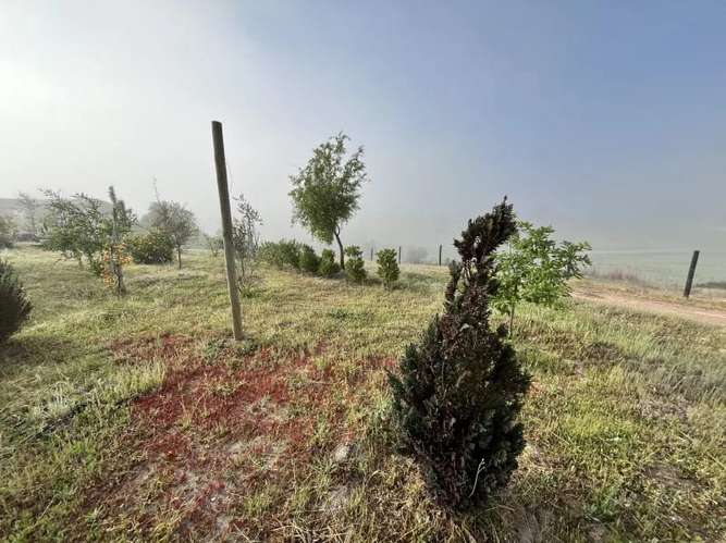 Parcela en venta · Melipilla - Imagen 16