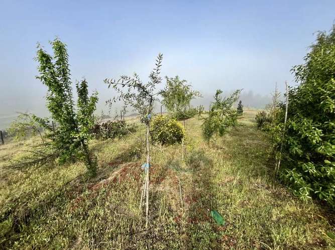 Parcela en venta · Melipilla - Imagen 12