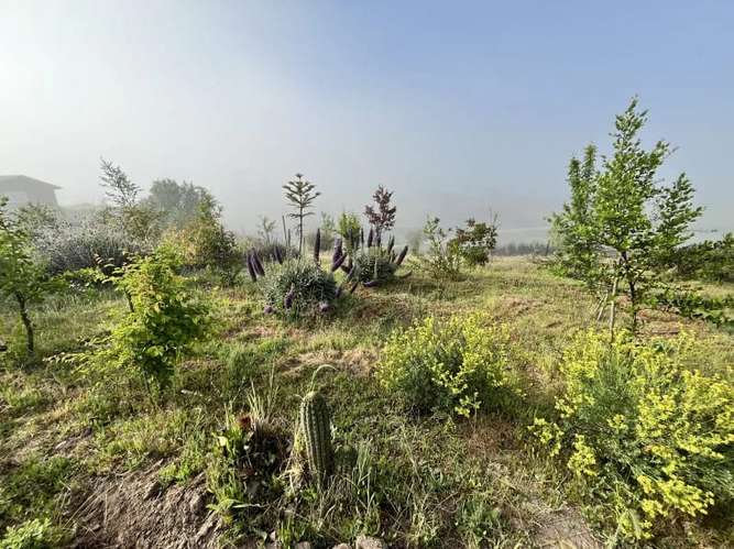 Parcela en venta · Melipilla - Imagen 11