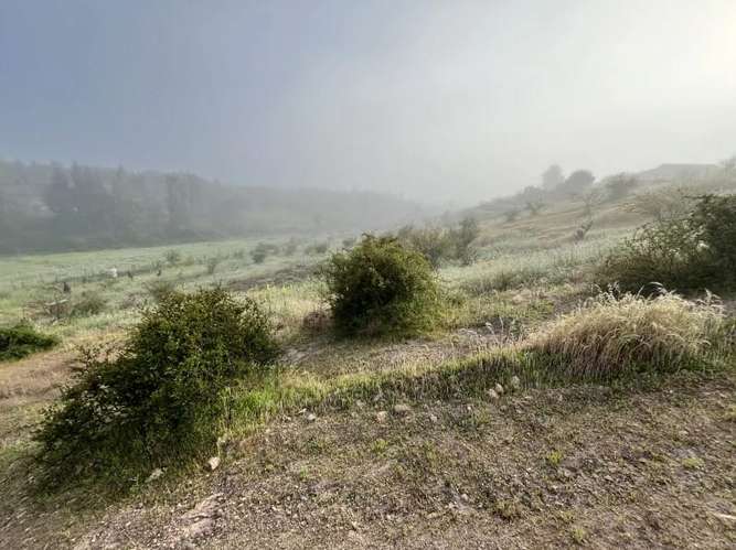 Parcela en venta · Melipilla - Imagen 2