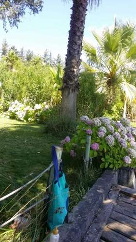 Terreno Construccion en venta · Las Cabras - Imagen 7