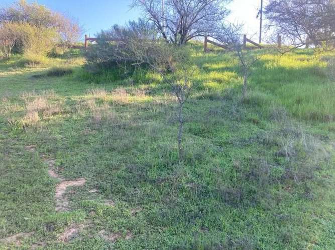 Gran Oportunidad!!! Parcela Hacienda De Limache - Imagen 9