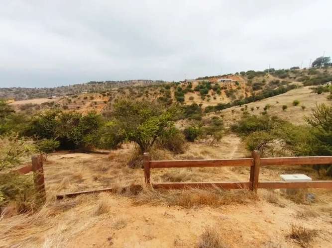 Gran Oportunidad!!! Parcela Hacienda De Limache - Imagen 6