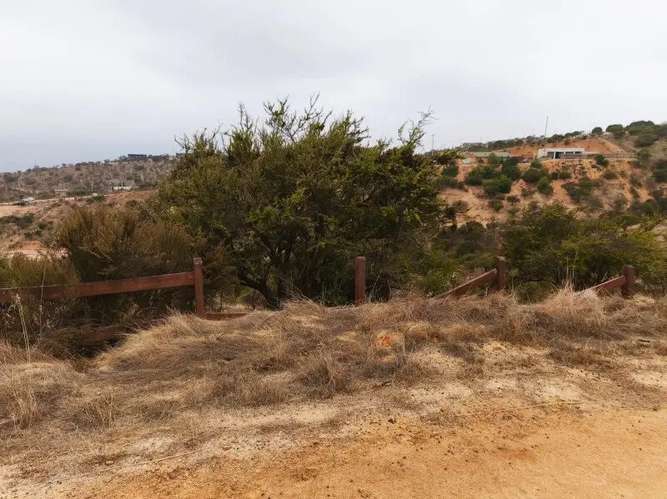 Gran Oportunidad!!! Parcela Hacienda De Limache - Imagen 2