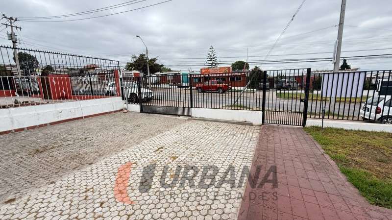 ARRIENDO CASA COMERCIAL – AVENIDA LOS PERALES, LA