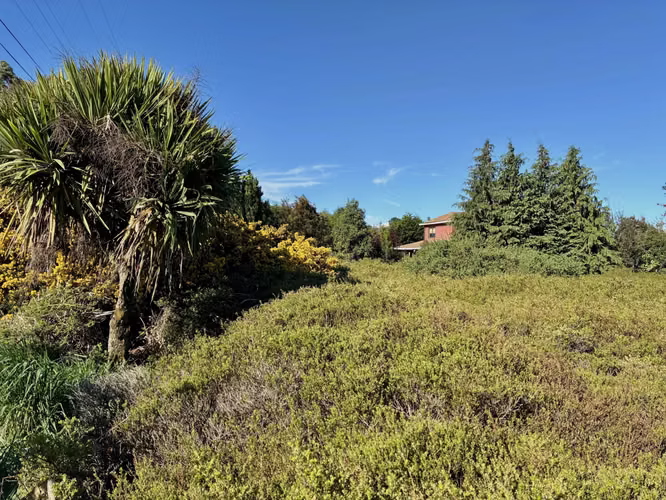 Parcela 5.310 m² con vista al Calbuco – Troncos Milenarios, P. Montt