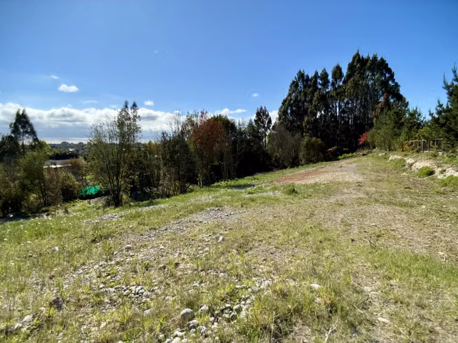 Parcela limpia 5.225 m² junto al acceso – Troncos Milenarios, P. Montt