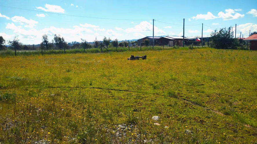 VENDO PARCELA C/CASA, HUACAMALÀ ,QUILLÒN - Imagen 6