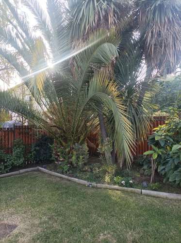 Casa Ayres de Chicureo | 3D 2B | Piscina Propia - Imagen 4