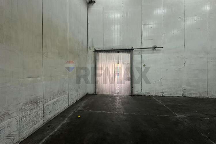 Arriendo propiedad agroindustrial curacaví