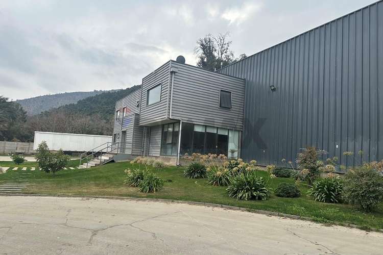 Arriendo propiedad agroindustrial curacaví