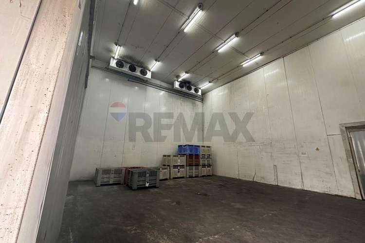Arriendo propiedad agroindustrial curacaví