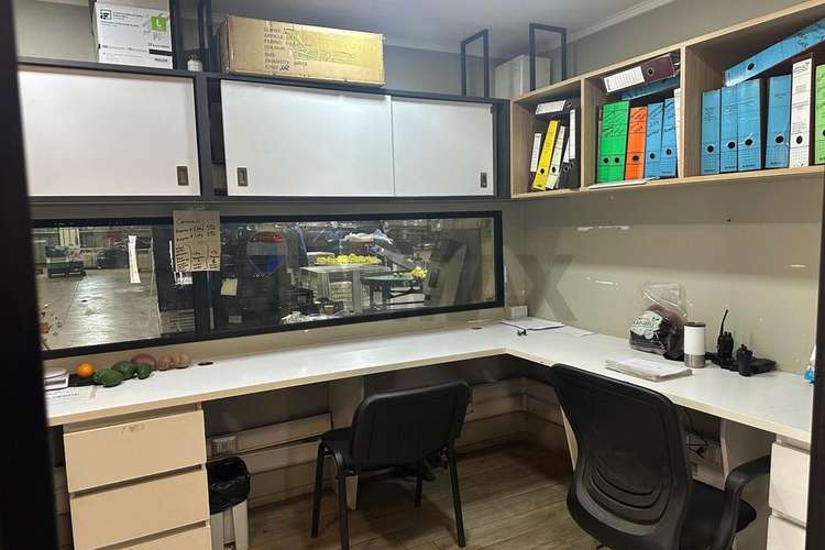 Arriendo propiedad agroindustrial curacaví
