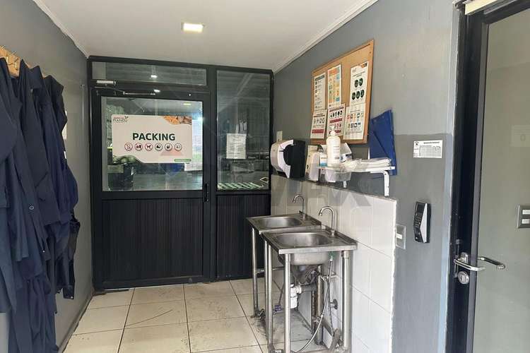 Arriendo propiedad agroindustrial curacaví