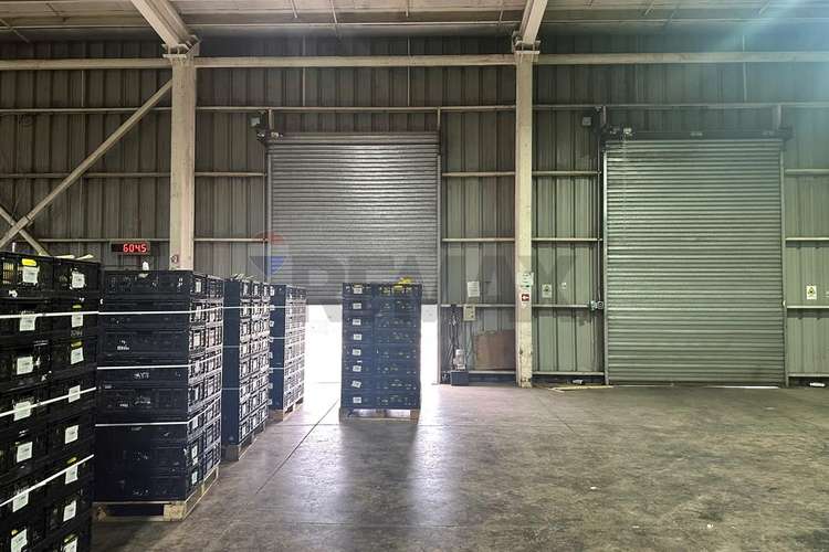 Arriendo propiedad agroindustrial curacaví