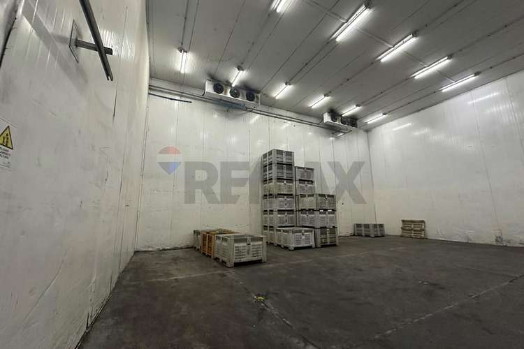 Arriendo propiedad agroindustrial curacaví