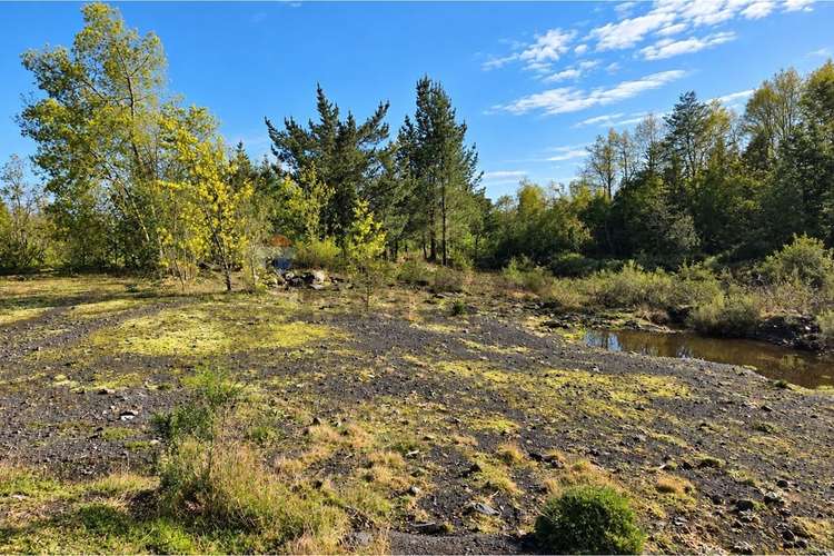 Venta casa en parcela, villarrica,-pucon - Imagen 20