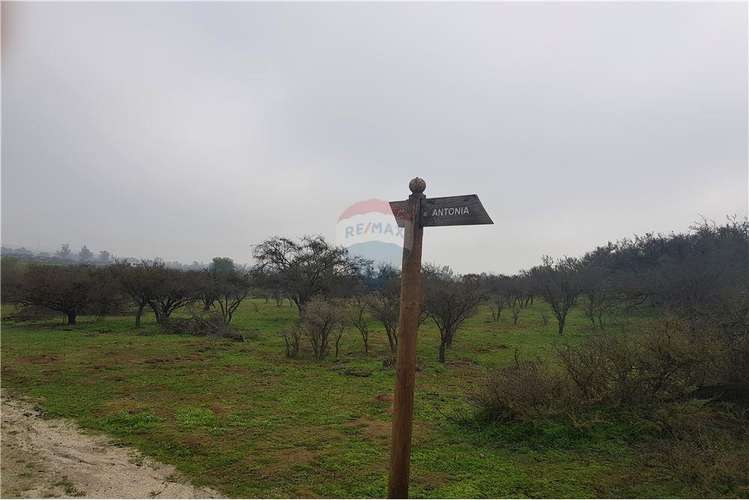 Oportunidad de inversión en parcela en limache - Imagen 7