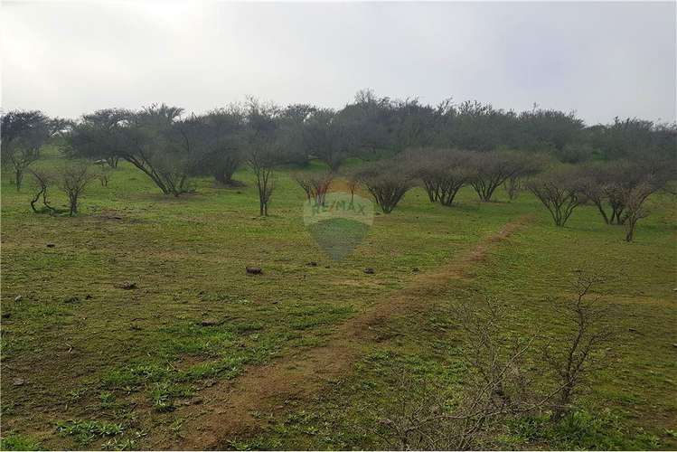 Oportunidad de inversión en parcela en limache - Imagen 9