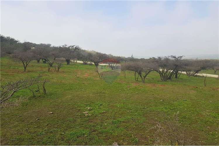 Oportunidad de inversión en parcela en limache - Imagen 16