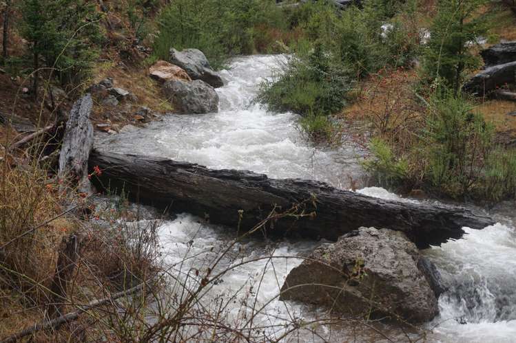 CAMPO DE ENSUEÑO DE 80,5 HECTAREAS LUZ AGUA CABAÑAS GALPON  Y ESTABLO