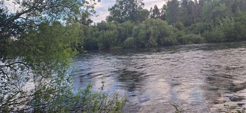 Parcela en venta en Osorno - Imagen 1