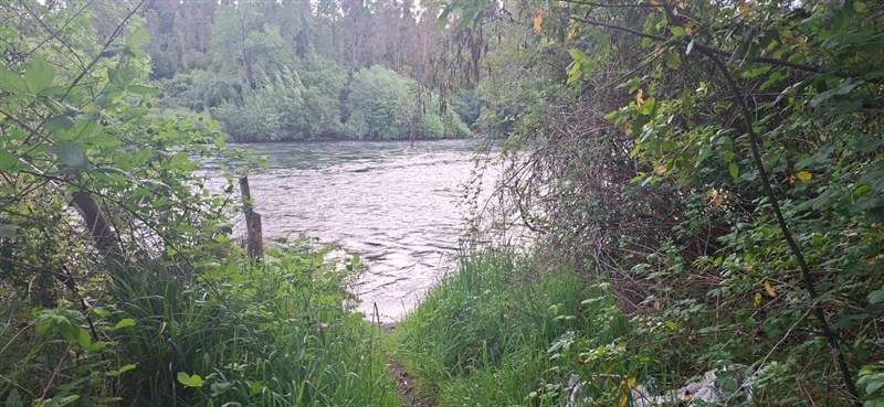 Parcela en venta en Osorno - Imagen 4