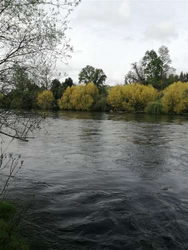 Parcela en venta en Osorno