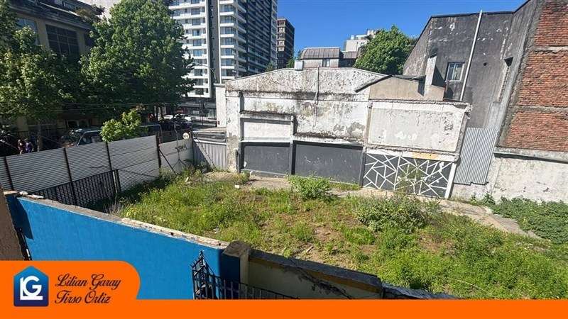 Sitio en arriendo en Concepción