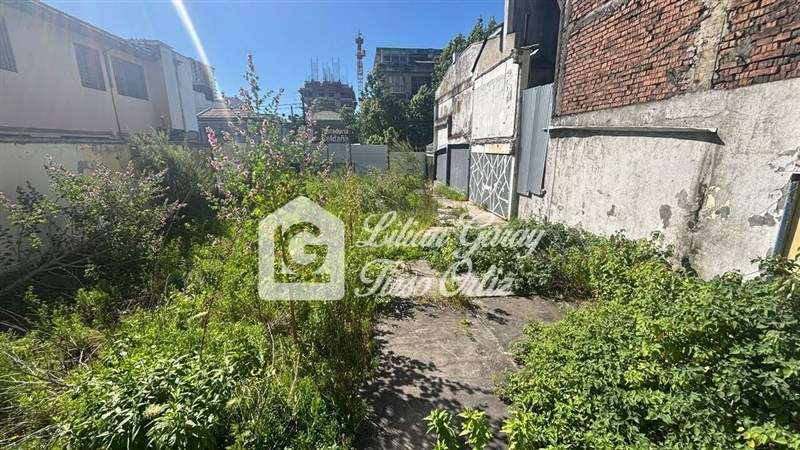 Sitio en arriendo en Concepción