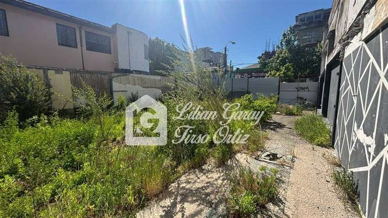 Sitio en arriendo en Concepción