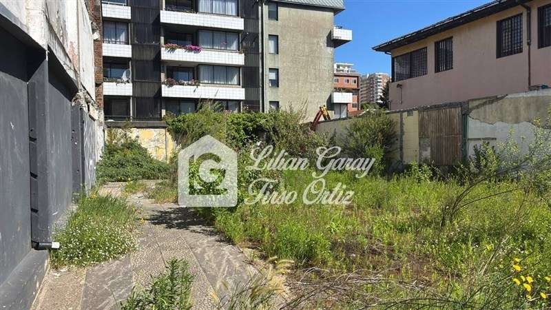 Sitio en arriendo en Concepción