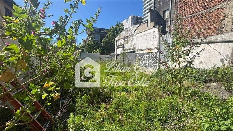 Sitio en arriendo en Concepción