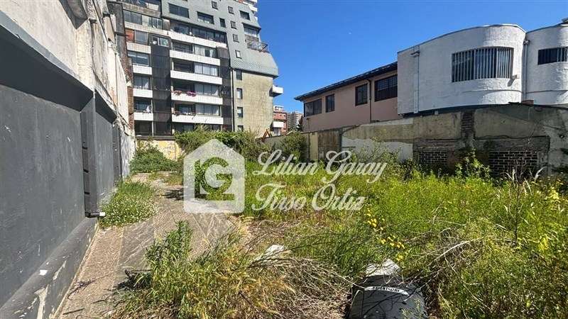 Sitio en arriendo en Concepción