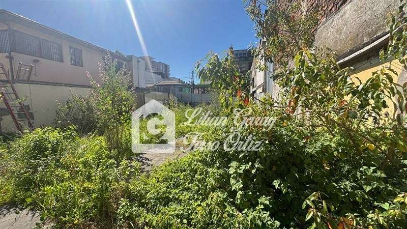 Sitio en arriendo en Concepción