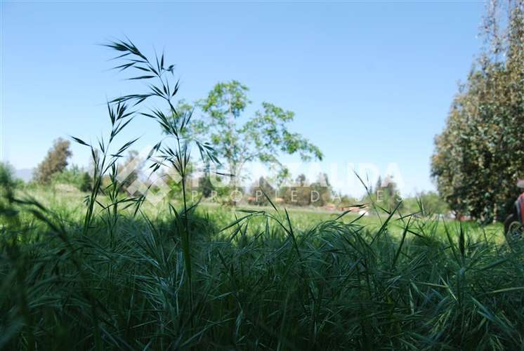 Parcela en venta en Pirque, FA - Imagen 10