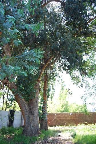 Sitio en venta en Pirque, FA - Imagen 17