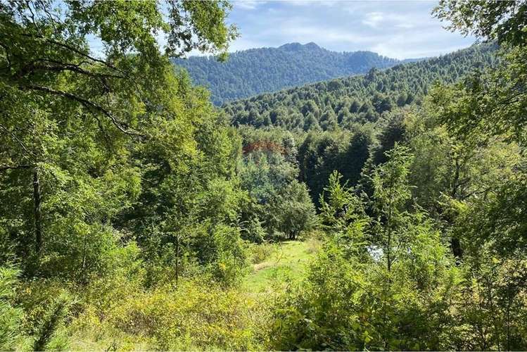 Venta parcela,  pucon, araucanía! - Imagen 18